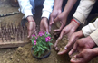 Farmers at Ghazipur protest site; plant flowers in response to Iron Nails